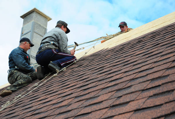 Best Roof Waterproofing Services  in Geneva, OH